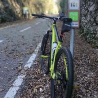 Scott Scale 2023 29” L