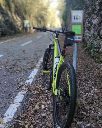 Scott Scale 2023 29” L