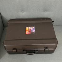 PlayStation 4 portatile con valigia