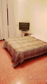 Stanza in appartamento condiviso