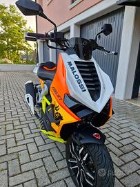 Cupolino Trofeo Malossi