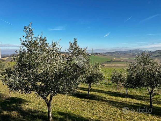 TER. AGRICOLO A RIMINI