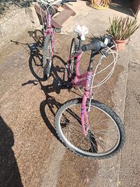bici faema 24