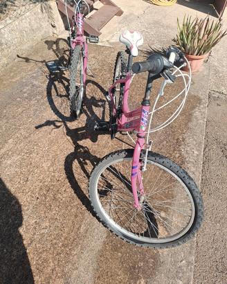 bici faema 24