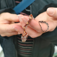 Serpente del grano baby