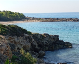 Lido Silvana in residence con giardino e piscina