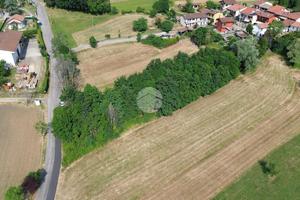TER. AGRICOLO A VAL DELLA TORRE