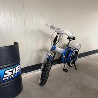 BICI DIEFFE FAT BIKE