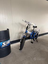 BICI DIEFFE FAT BIKE