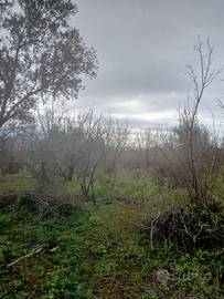 Terreno agricolo seminativo