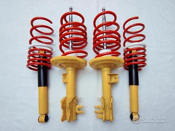 Ammortizzatori Sportivi Molle FIAT 500 312 -45/30m
