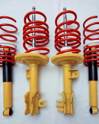 Ammortizzatori Sportivi Molle FIAT 500 312 -45/30m