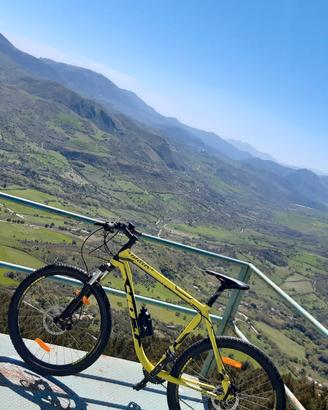 bici MTB wilier triestina 407 xb
