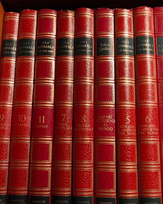 Enciclopedia 
