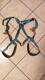 Imbrago completo KONG per bambino