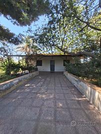 Casa indipendente con terreno