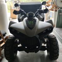 Quad cectek kingcobra 500