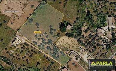 Terreno di 14000 m² a Canicattì