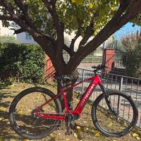 Bicicletta elettrica Bottecchia BE 33 TEASER