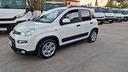fiat-panda-cross-1-0-firefly-s-s-hybrid