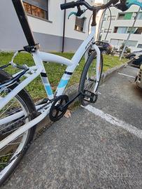 bicicletta Mountain bike 24