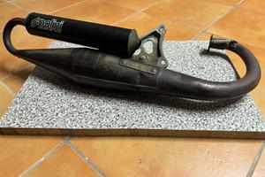 Marmitta Polini Scooter team