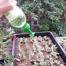 Irrigatore a Goccia per Bottiglie d'Acqua