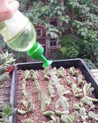 Irrigatore a Goccia per Bottiglie d'Acqua