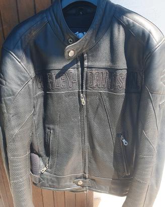 harley davidson 