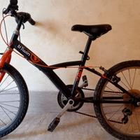 Bicicletta 20