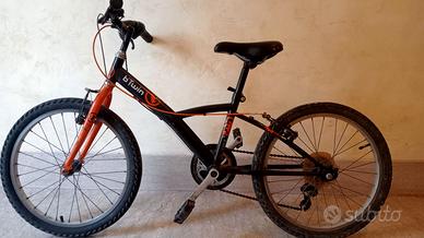 Bicicletta 20