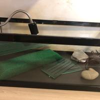 Tartarughiera Terratlantis