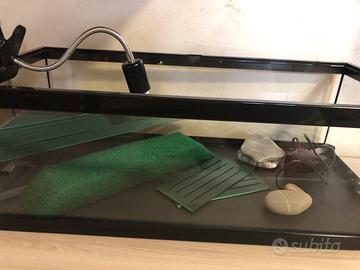 Tartarughiera Terratlantis