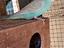 Immagine 1
