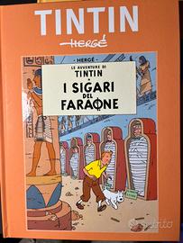 Libro tin tin
