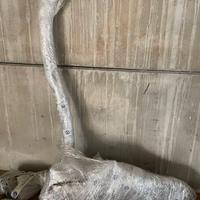 SCARICO ORIGINALE NISSAN GT-R R35 2009 IN POI