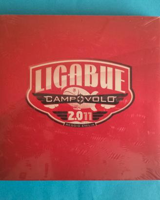 Ligabue - Campovolo 2.011