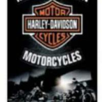 Bandana Harley Davidson 