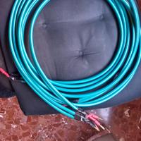 wireworld atlantis cavo altoparlanti 