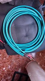 wireworld atlantis cavo altoparlanti 