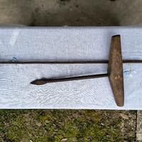 Punteruolo Trivellino