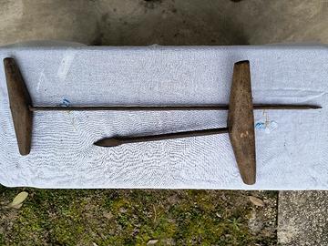 Punteruolo Trivellino