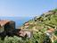 Immagine 10