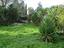 Immagine 26