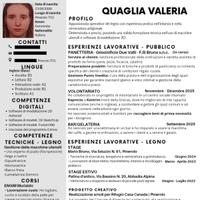 Lavoro Serale/Notturno o Diurno nei Weekend