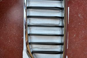 Griglia mascherina cofano BMW 530d G31