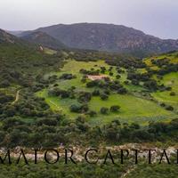 Berchidda | Terreno in posizione panoramica