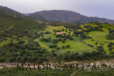 Berchidda | Terreno in posizione panoramica