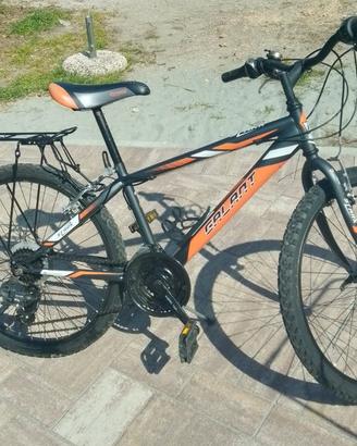 Mountain bike bambino 6/10 anni