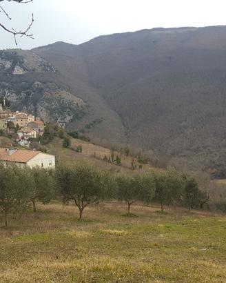 Terreno edificabile